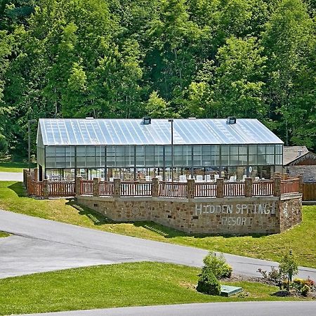 Вилла Smoky Mountain Getaway #435 Севьервилл Экстерьер фото