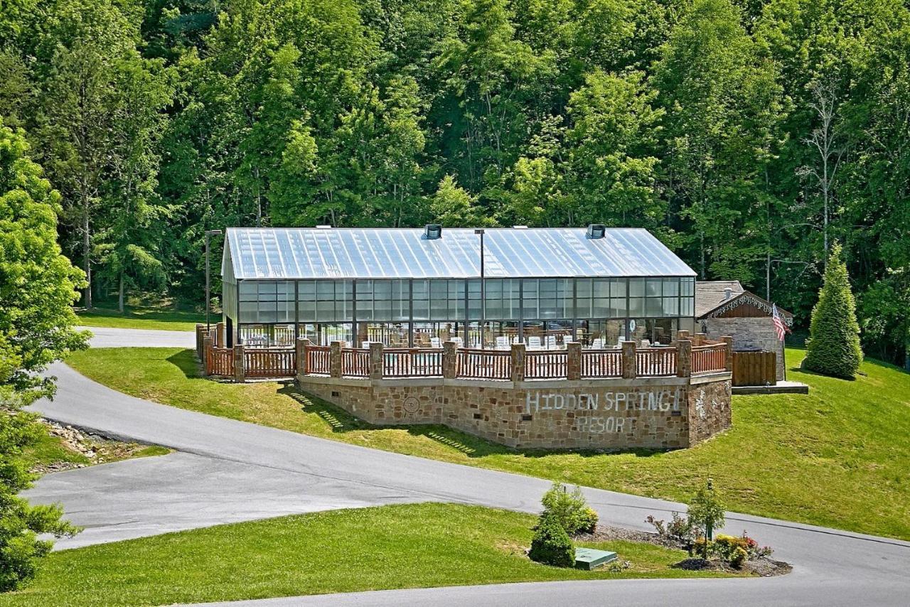 Вилла Smoky Mountain Getaway #435 Севьервилл Экстерьер фото
